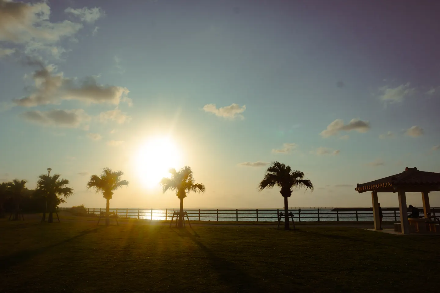 夕陽に照らされる海辺の公園とヤシの木